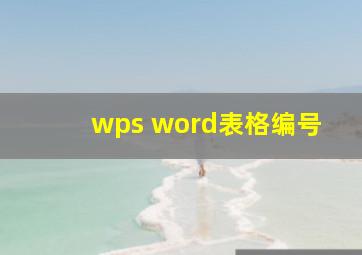 wps word表格编号